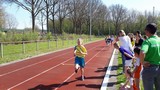 Diomedon_foto_2.jpg