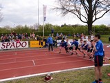 DSC01013.JPG
