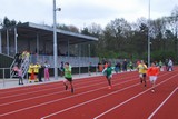 DSC_0141.JPG